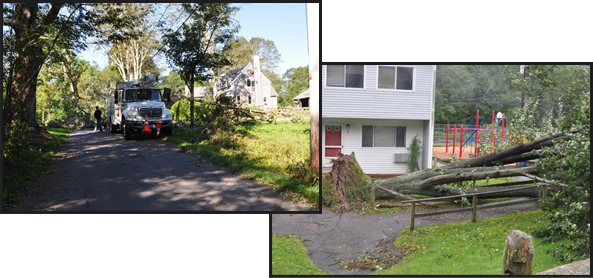 Pictures from aftermath of Tropical Storm Irene
